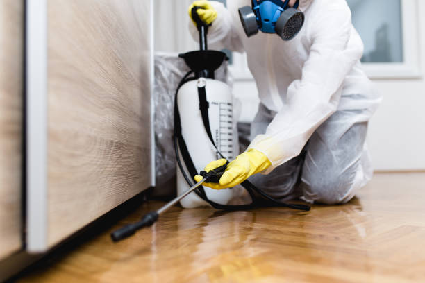 Best Wasp Removal Services  in Millersville, TN