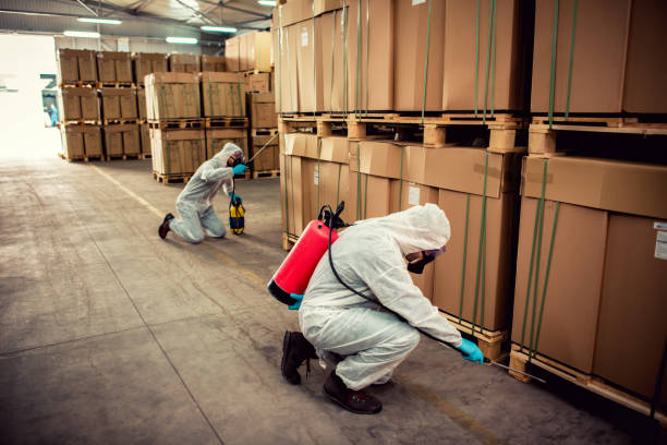 Best Mosquito Control Services  in Millersville, TN