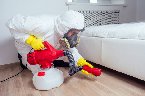 Best Pest Control Treatment  in Millersville, TN