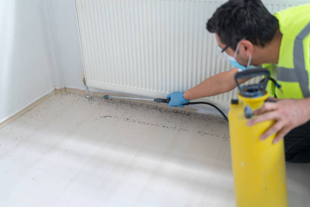 Best Cockroach Control Services  in Millersville, TN