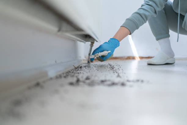 Best Pest Control for Homes  in Millersville, TN